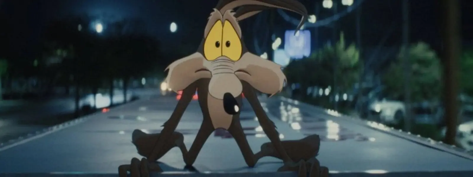Coyote vs Acme